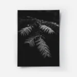 poster feuilles avec gouttes d eau.webp