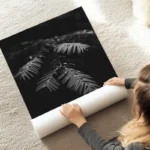 poster feuilles avec gouttes d eau au sol.webp