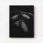 poster feuilles avec gouttes d eau avec cadre.webp