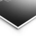 poster feuilles avec gouttes d eau lightpanel.webp