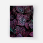 poster feuilles colorees.webp