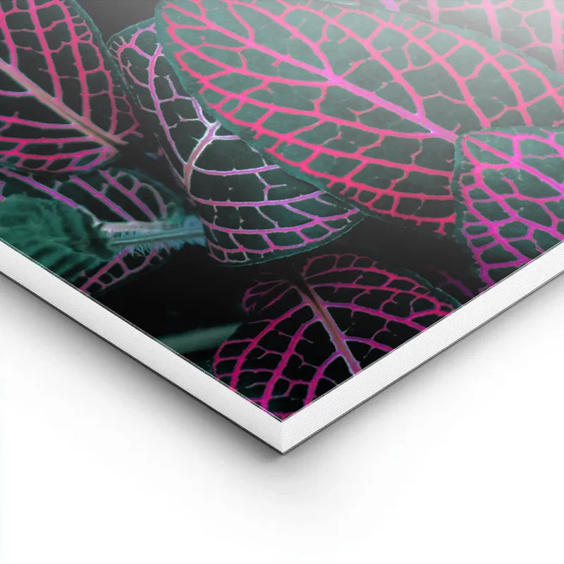 Image galerie 8