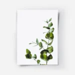 poster feuilles d eucalyptus vert.webp