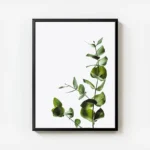 poster feuilles d eucalyptus vert avec cadre.webp