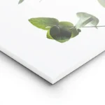 poster feuilles d eucalyptus vert lightpanel.webp