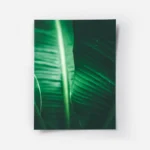 poster feuilles de bananier vertes.webp