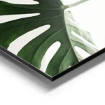 poster feuilles de monstera aluminium.webp