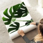 poster feuilles de monstera au sol.webp