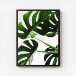 poster feuilles de monstera avec cadre.webp