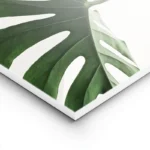 poster feuilles de monstera lightpanel.webp