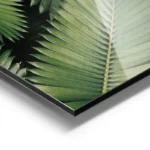 poster feuilles de palmier aluminium.webp