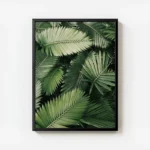poster feuilles de palmier avec cadre.webp