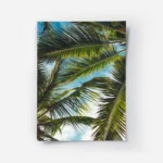 poster feuilles de palmier copie.webp