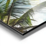 poster feuilles de palmier copie aluminium.webp