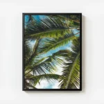 poster feuilles de palmier copie avec cadre.webp