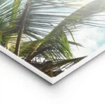 poster feuilles de palmier copie lightpanel.webp