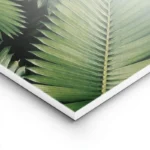 poster feuilles de palmier lightpanel.webp