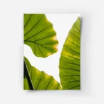 poster feuilles vertes lumineuses.webp