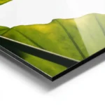 poster feuilles vertes lumineuses aluminium.webp