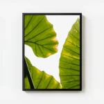 poster feuilles vertes lumineuses avec cadre.webp