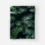 poster feuilles vertes monstera.webp
