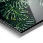 poster feuilles vertes monstera aluminium.webp