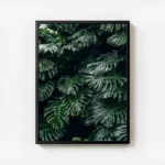 poster feuilles vertes monstera avec cadre.webp