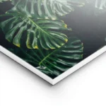 poster feuilles vertes monstera lightpanel.webp