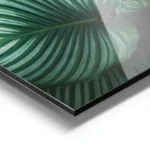 poster feuilles vertes rayees aluminium.webp