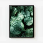 poster feuilles vertes rayees avec cadre.webp