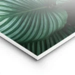 poster feuilles vertes rayees lightpanel.webp
