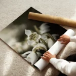 poster fleur blanche delicate enroule.webp