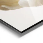 poster fleur blanche et jaune aluminium.webp