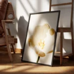 poster fleur blanche et jaune encadre.webp