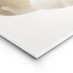 poster fleur blanche et jaune lightpanel.webp