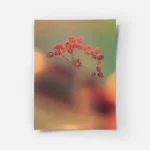 poster fleur delicate en gros plan.webp