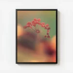 poster fleur delicate en gros plan avec cadre.webp
