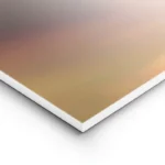poster fleur delicate en gros plan lightpanel.webp