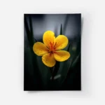 poster fleur jaune avec gouttes d eau.webp
