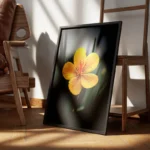 poster fleur jaune avec gouttes d eau encadre.webp