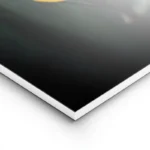 poster fleur jaune avec gouttes d eau lightpanel.webp