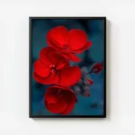 poster fleur rouge avec cadre.webp