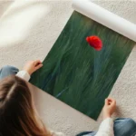 poster fleur rouge isolee en rouleau.webp