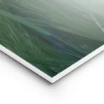poster fleur rouge isolee lightpanel.webp