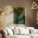 poster fleur rouge isolee salon.webp