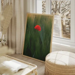 poster fleur rouge isolee salon beige.webp