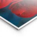 poster fleur rouge lightpanel.webp