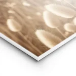 poster fleurs moelleuses lightpanel.webp