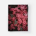 poster fleurs roses.webp
