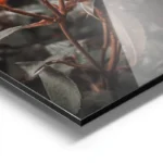 poster fleurs roses orange aluminium.webp
